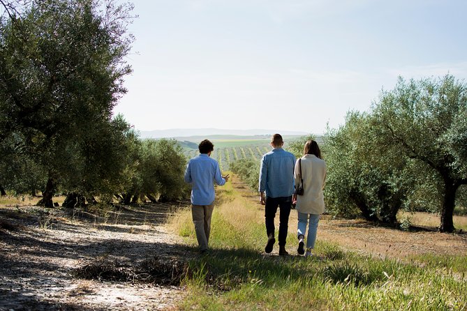 Cordoba Olive Oil mill, Wine, Passion - Key highlights worth planning for