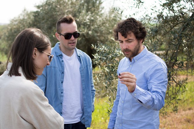 Cordoba Olive Oil mill, Wine, Passion - The production facility visit: why factories belong on a food tour