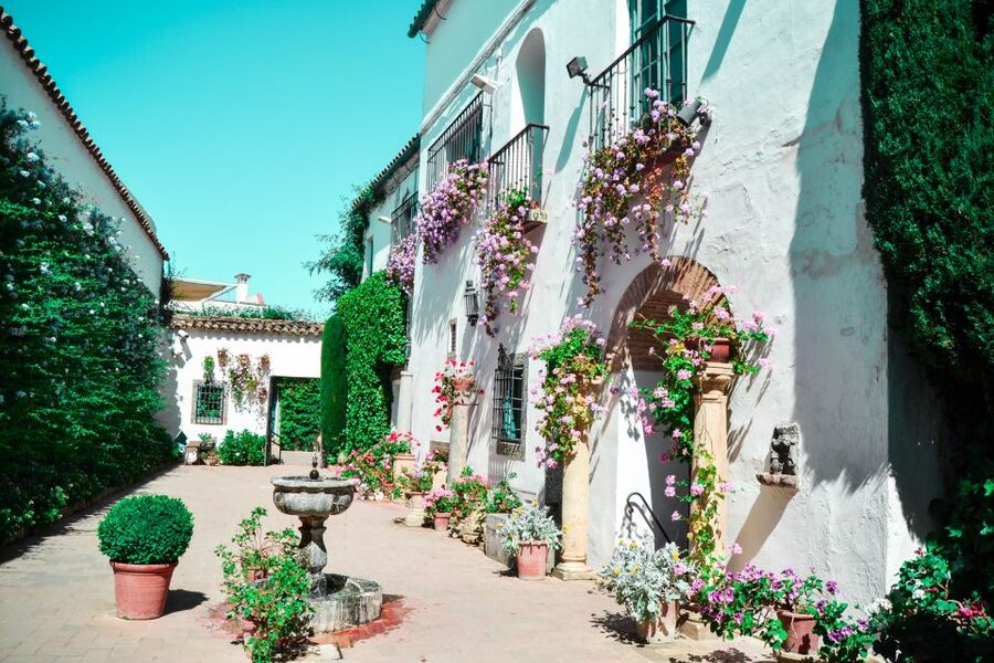 Cordoba: Patios and Viana Palace Tour - Your 2-hour patio circuit: 12 courtyards, many eras