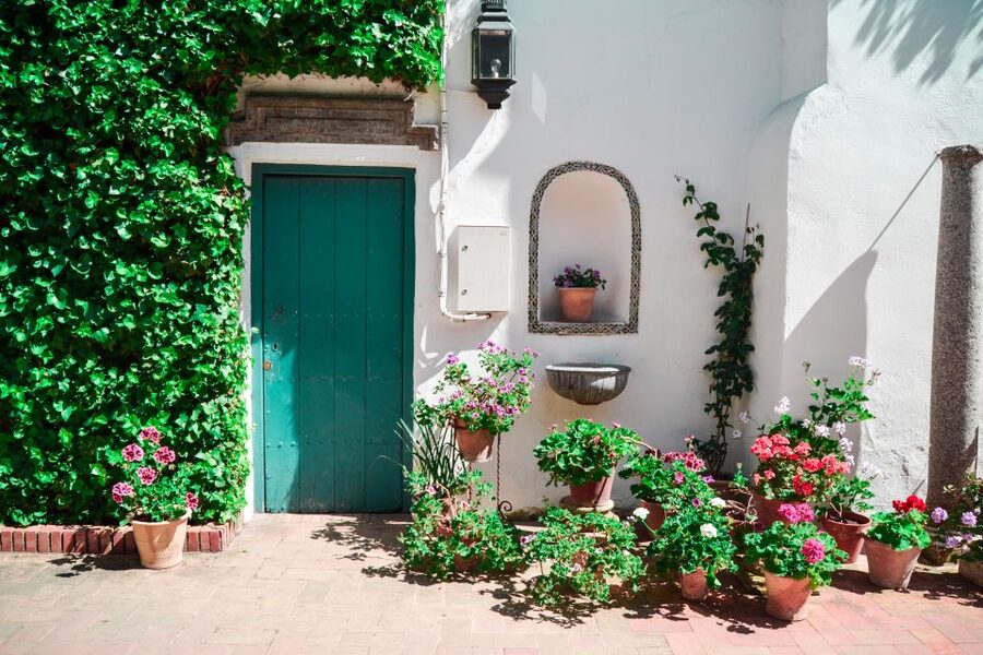 Cordoba: Patios and Viana Palace Tour - Flowers, plants, fountains, and the Roman-Arab blend