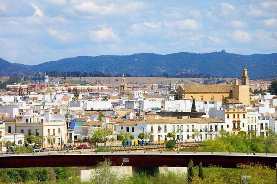 Cordoba : Patios Private Walking Tour - Where You Meet and How the 2-Hour Timing Works