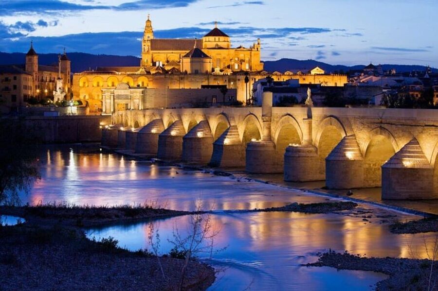 Cordoba : Patios Private Walking Tour - San Lorenzo to Calle Montilla Moriles: Wine and a Tapa Pause
