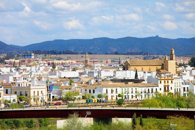 Cordoba Private Custom Walking Tour With A Guide (Private Tour) - Getting started: pickup, meeting point, and pacing