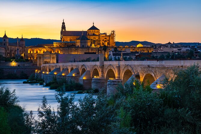 Cordoba Private Daytrip from Sevilla by Train - Price and value: why $259.54 can make sense (or not)