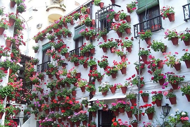 Cordoba private tour from Seville including the great Mosque for up to 8 persons - Key highlights worth knowing before you go