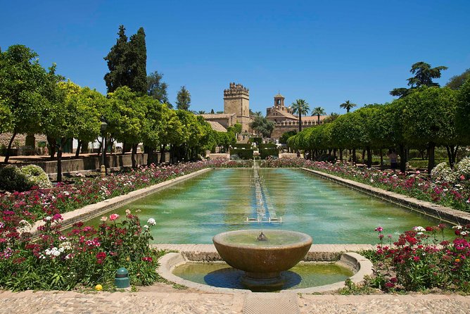 Cordoba private tour from Seville including the great Mosque for up to 8 persons - Who this trip suits best, and who may want a different plan