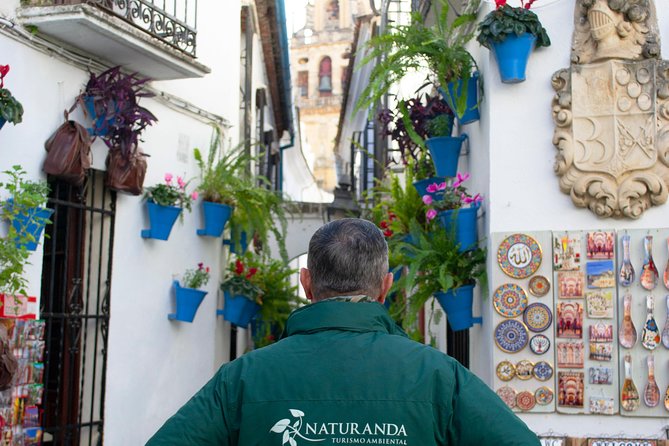 Cordoba Private Tour with Mosque Entrance from Seville - Torre de la Calahorra and the Roman Bridge Welcome