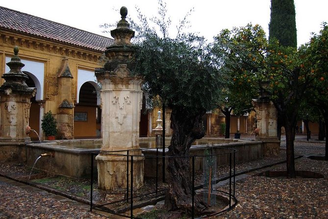 Cordoba Relax Tour in English Tickets included - Maimonides statue and the Cordoba synagogue you can still visit