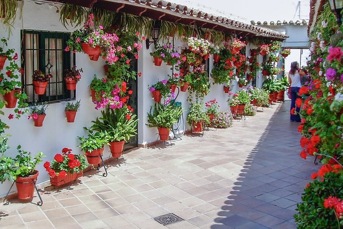Cordoba's Authentic Patios: 2-Hour Tour with Tickets - Why Córdoba patios are a big deal, and why this tour is a smart way in