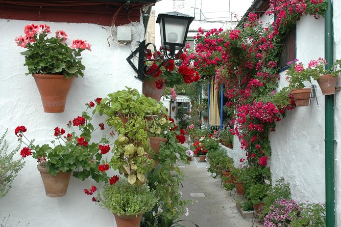 Cordoba's Authentic Patios: 2-Hour Tour with Tickets - Entering 5 private courtyards in San Basilio, what each stop is really like