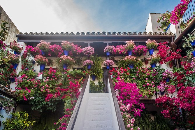 Cordoba's Authentic Patios: 2-Hour Tour with Tickets - Price and value: $21 for entrance tickets plus a guide who connects the dots