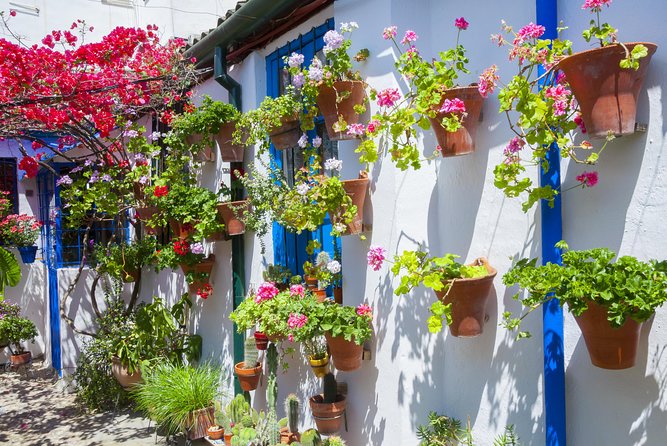 Cordoba's Authentic Patios: 2-Hour Tour with Tickets - Meeting at Plaza del Triunfo, then heading into Alcázar Viejo