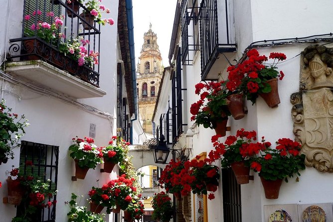 Cordoba & & The Mosque Small-Group Day Tour from Seville - Mezquita-Cathedral: The Red-and-White Moment You Came For