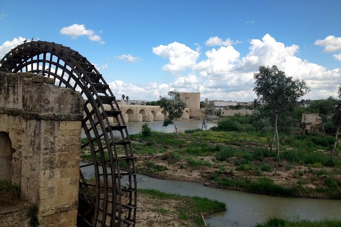 Cordoba & & The Mosque Small-Group Day Tour from Seville - Royal Stables, Alcázar de los Reyes Cristianos, and Other Quick Hits