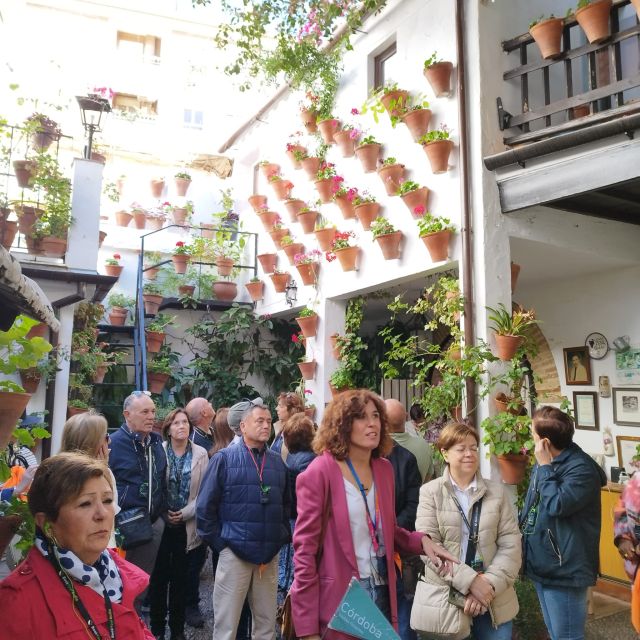 Córdoba: Tour of the three cultures to see the city in a day - Finishing at the Roman Bridge: the clean wrap-up shot