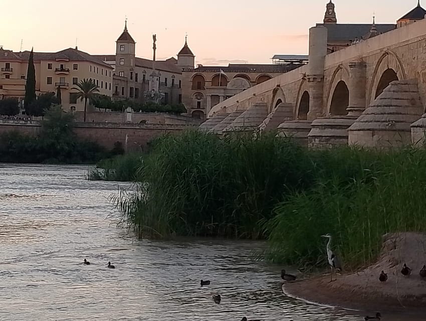 Córdoba: Tour of the three cultures to see the city in a day - Starting at Plaza de las Tendillas, then letting the city sort itself out