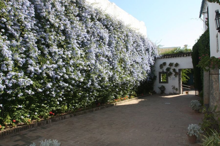Córdoba: Viana Palace Gardens and Patios Entry Ticket - Key highlights you should care about