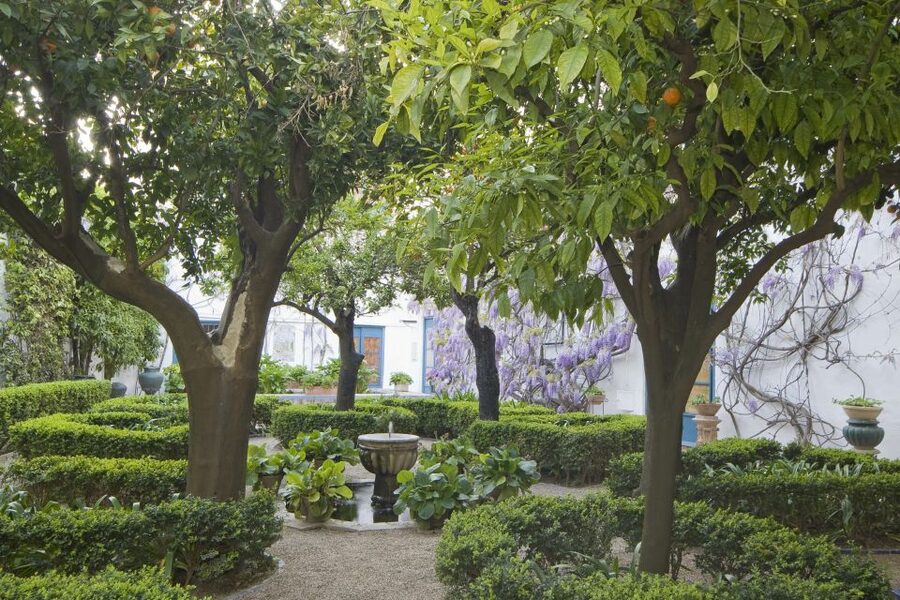 Córdoba: Viana Palace Gardens and Patios Entry Ticket - Viana Palace Patios, the 5-Century Escape in Córdoba