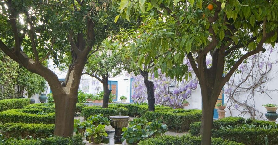 Córdoba: Viana Palace Gardens and Patios Entry Ticket - Walk the 12 Courtyards: Roman to Moorish in One Circuit