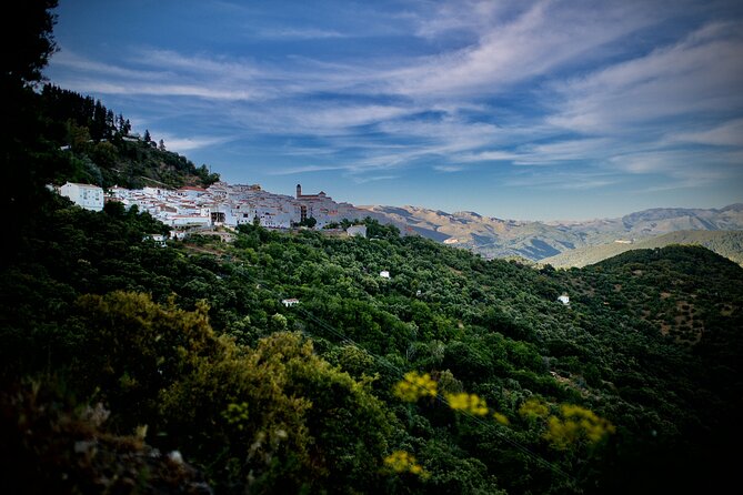 Dining Experience in the Mountains & discovering of Andalusia - The Marina and Nacho Factor: Warm Hosts, Serious Cooking