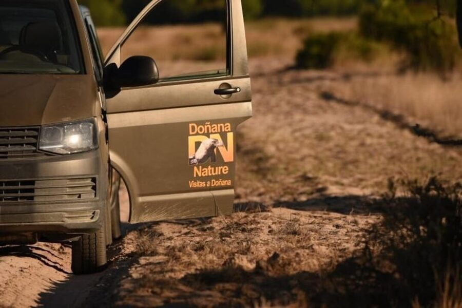 Discover Doñana & Iberian Lynx: Premium Nature Tour - Guides, expertise, and the pace inside the park