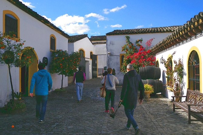 Discover Sherry in Jerez - Key Points That Make This Tour Worth It