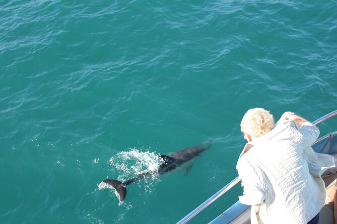 Dolphin Watching in Gibraltar Dolphin Safari V.I.P - Entering the Strait of Gibraltar from Marina Bay (and why it feels special)