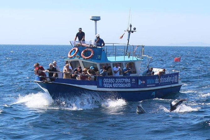 Dolphin Watching in Gibraltar Dolphin Safari V.I.P - Timing: one hour is enough, but do not wait too late