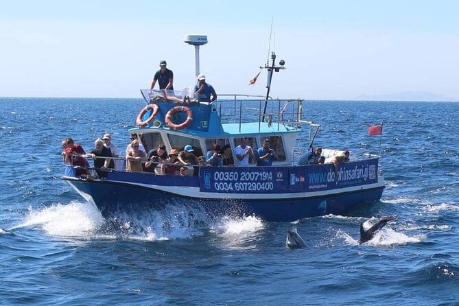 Dolphin Watching in Gibraltar Dolphin Safari V.I.P - Value for $34: what you actually get for the money