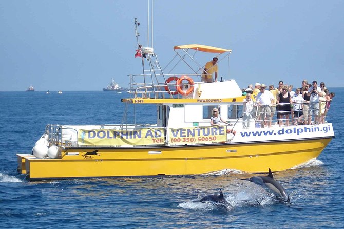 Dolphin Watching in Gibraltar & Fast Track Priority Cable Car - The switch from water to the cable car, your timing game