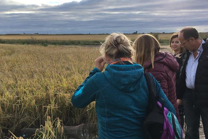Donana National Park and El Rocío: Guided Tour from Seville - El Rocío: chapel atmosphere and an ornithologists’ viewpoint