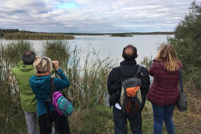 Donana National Park and El Rocío: Guided Tour from Seville - La Rocina walking route: connecting animals to plants