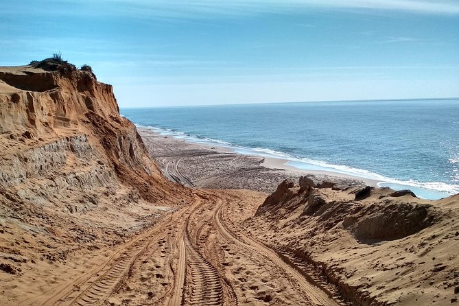 Donana National Park and El Rocío: Guided Tour from Seville - Playa de Matalascanas and the dune ecosystem moment