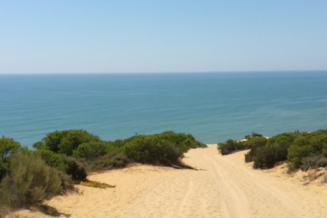 Donana National Park and El Rocío: Private Tour from Seville - Entering Doñana and El Rocío from Seville