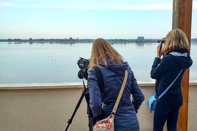 Donana National Park and El Rocío: Private Tour from Seville - La Puebla del Río birdwatching stop: start with real spotting time