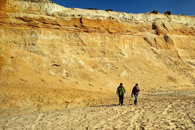 Donana National Park and El Rocío: Private Tour from Seville - Palacio del Acebrón and the gallery forest ecosystem lesson