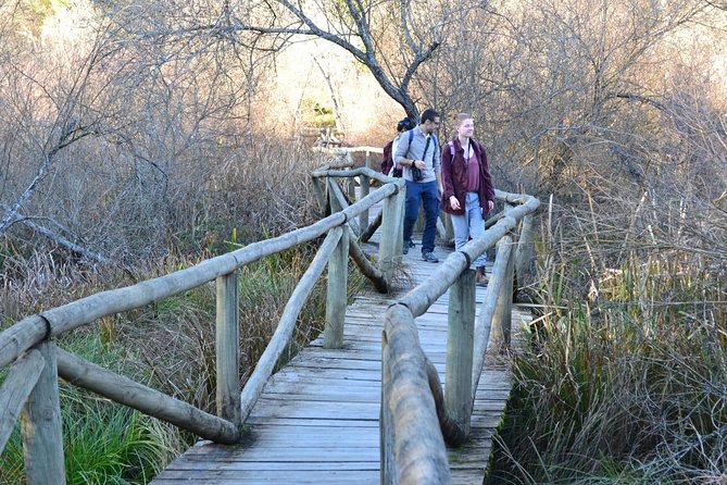 Donana National Park: Guided Day Tour from Seville - Birdwatching focus, lynx hopes, and how to set the right expectations