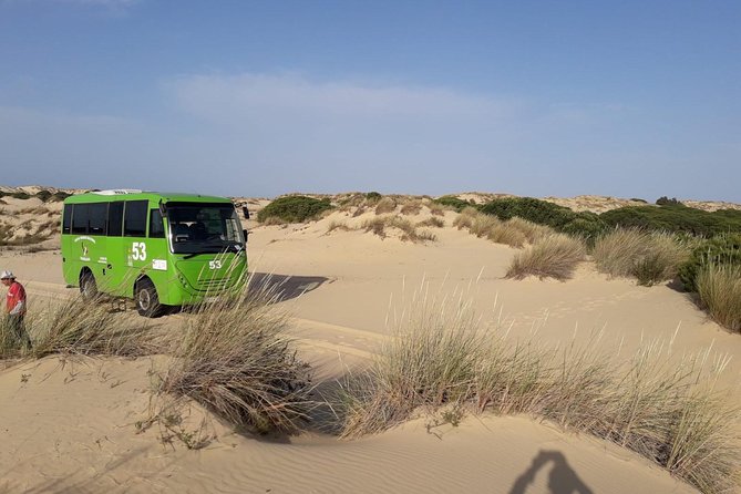 Doñana National Park in 4x4 and El Rocío - Doñana 4x4: the restricted route that gives you real access