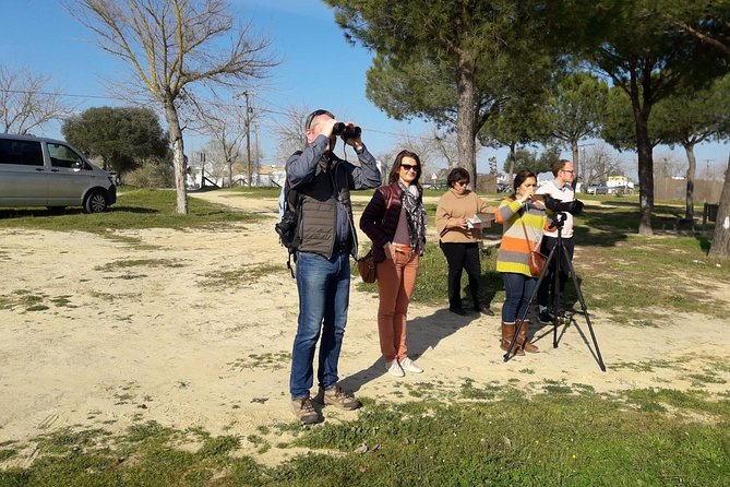 Doñana National Park in 4x4 and El Rocío - Palacio del Acebrón: the short stop that adds culture without derailing nature time