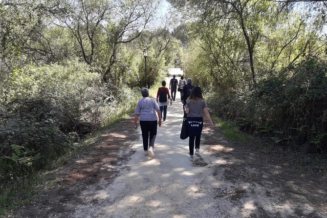 Doñana National Park in 4x4 and El Rocío - Who should book, and who might want a different style