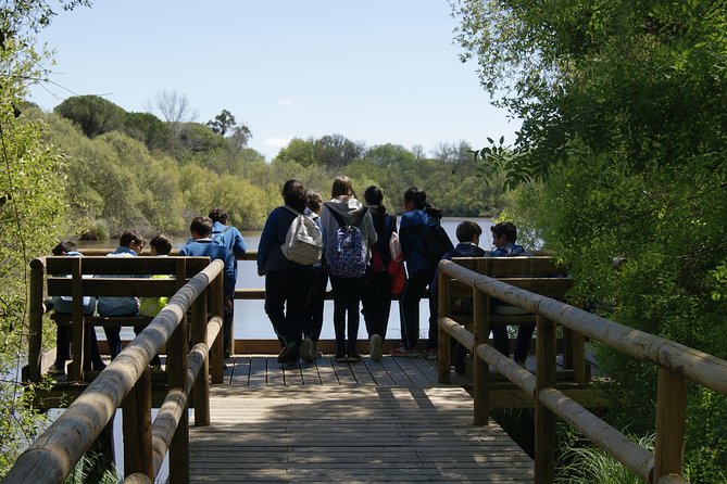 Doñana National Park in 4x4 and El Rocío - Your guides make the difference: Víctor, Jorge, and Patricia style