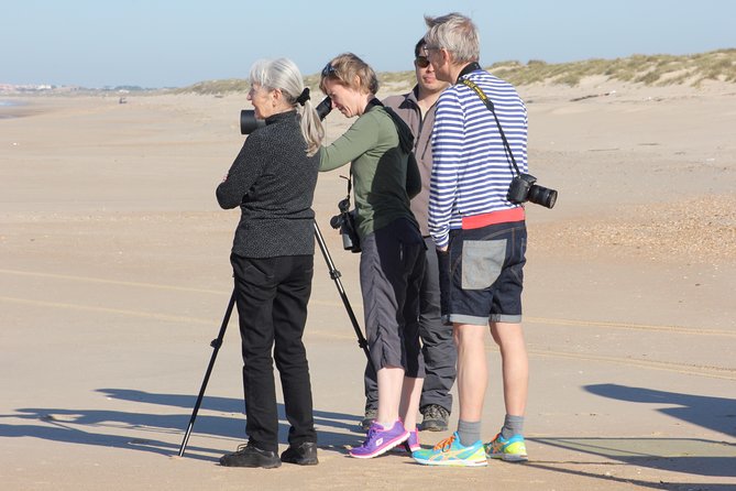 Donana National Park & Matalascanas Guided Tour from Seville - Matalascañas stop: beach air, dunes, and a short reset