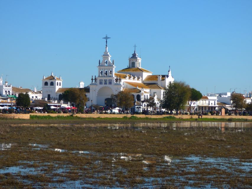Doñana National Park Off-Road Tour from Seville - Who this tour suits best, and who should rethink it