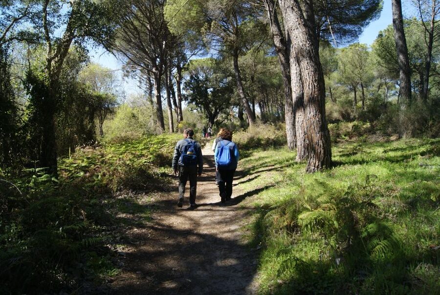 Doñana National Park Off-Road Tour from Seville - Leaving Seville for Doñana, the long day setup