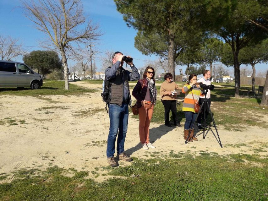 Doñana National Park Off-Road Tour from Seville - Coto del Rey, royal hunting grounds in a wildlife setting