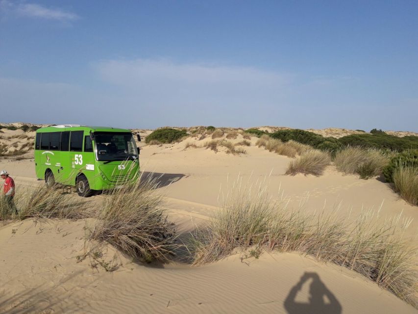 Doñana National Park Off-Road Tour from Seville - Lunch time, and how to handle the no-meals reality
