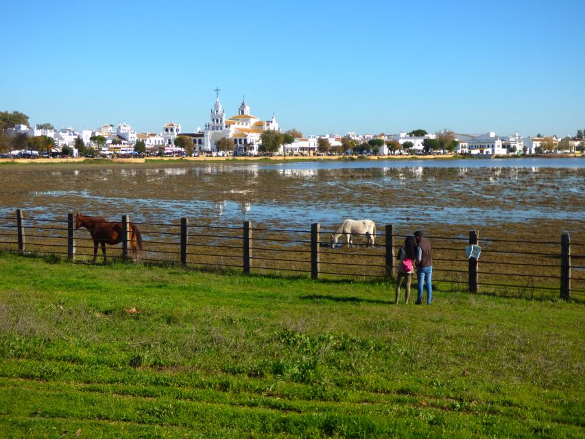 Doñana National Park Off-Road Tour from Seville - El Rocío break, where you actually get time to wander