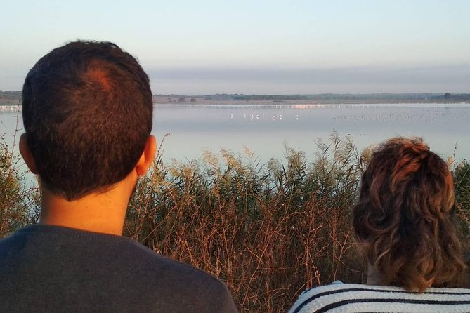 El Rocio, Donana Natural Park and Matalascanas Beach Day Trip from Seville - The 4WD Doñana ride starts the day on the right track