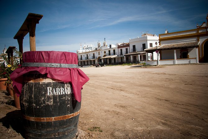 El Rocio, Donana Natural Park and Matalascanas Beach Day Trip from Seville - The day schedule from Seville: when time feels fast