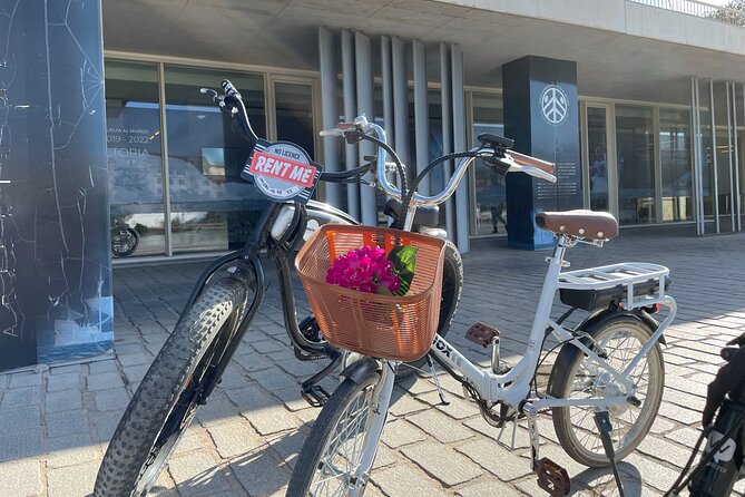 Electric Bicycle Rental in Seville - Who should book this, and who might want a different plan